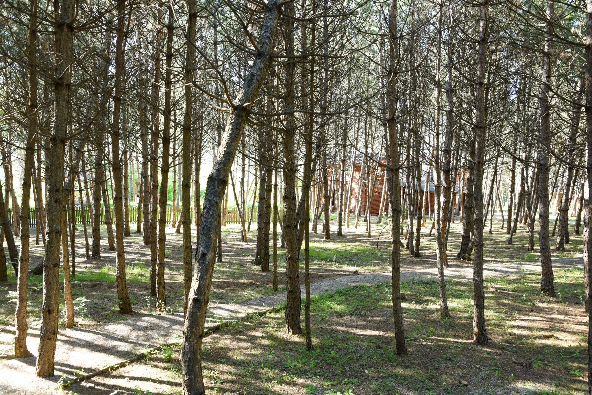 Çampınarı Doğa Evleri 15